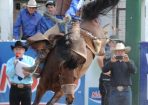 F-Rodeo_108610_01.jpg