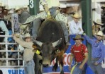 F-Rodeo_108610_03.jpg