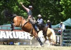 SFTrodeo_108206_02.jpg