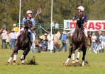 polo_119117_02.jpg