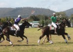 polocross_120244_04.jpg