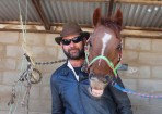 horse_124283_03.jpg