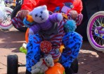 wpid-sft-YIR_133026_03.jpg