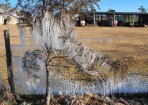 wpid-sft-YIR_133026_11.jpg
