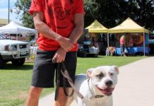 Fun is on the market