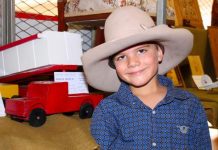 Springborg steals Show