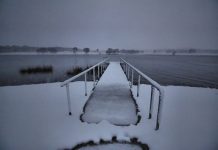 Westy’s weather for August