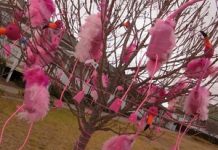 Stunning school decor