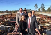 Southern Downs enjoys international flavour