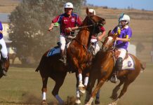 Warwick bags three grades