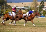 Polocrosse_142967_05.JPG