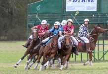 Big weekend for polocrosse