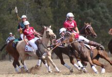 It doesn’t get much bigger