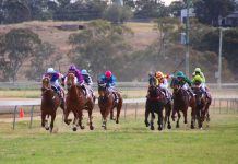 Race success at Allman Park