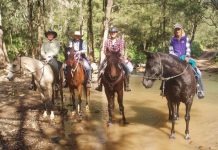 What’s on this weekend?