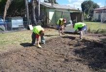 Seed sown for FoodAssist