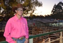 Warwick champion rides home