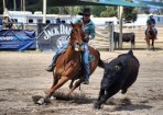 sftrodeo_145869_01.jpg