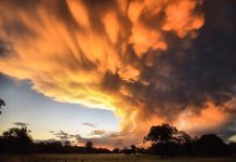 Welcome rain on the way