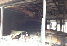 Big spending budget still delivers savings