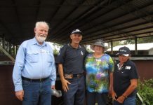 Horses for courses as Probus goes on tour