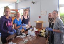 Students deliver the care