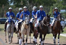 Polocrosse club is high in the saddle