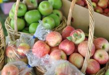 Shop, sit and savour seasonal produce