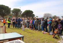 Bidding for a bargain