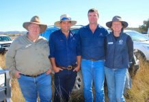 Drones have pests in their sights