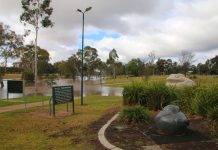 A little too much of a good thing