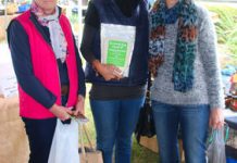 A feast of freshness