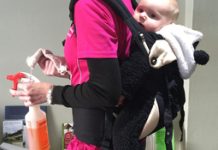Juggling work with breastfeeding