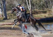 Horse and rider through their paces