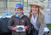 Rodeo fund-raiser isn’t trivial