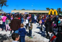 Little snowflakes have a wild white day