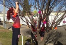 School settles down for love