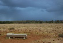 Cash flows for drought relief