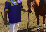sftpolo_157782_05.jpg