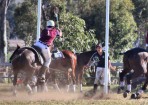 sftpolo_157782_06.jpg