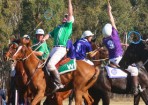 sftpolo_157782_09.jpg