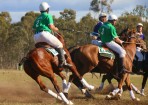 sftpolo_157782_10.jpg