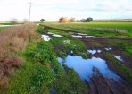 sftwater_158682_07.jpg