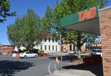 Plane trees to fly off