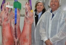 Prime Lamb awards presented