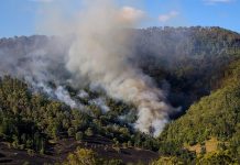 Fire ban issued for region