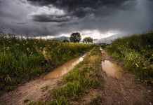 Owen tipped to bring showers, storm chance