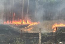 Community meeting on bushfire