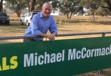 No state commitment on dam as yet