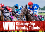 killarney cup tickets